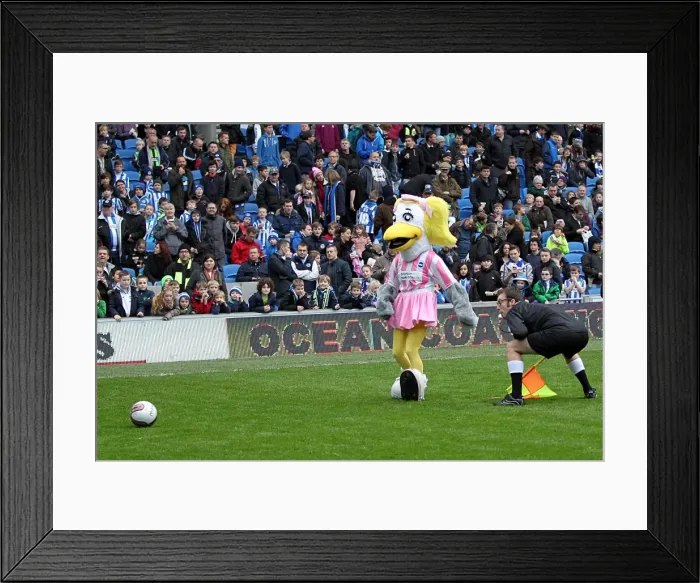 Framed Print : Brighton & Hove Albion vs. Newcastle United (05-01-2013): A Glimpse into the 2012-13 Home Season Framed Print : Brighton & Hove Albion vs. Newcastle United (05-01-2013): A Glimpse into the 2012-13 Home Season