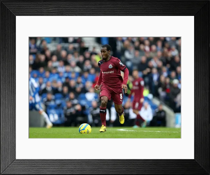 Framed Print : Brighton & Hove Albion vs. Newcastle United (05-01-2013): A Glimpse into the 2012-13 Home Season Framed Print : Brighton & Hove Albion vs. Newcastle United (05-01-2013): A Glimpse into the 2012-13 Home Season