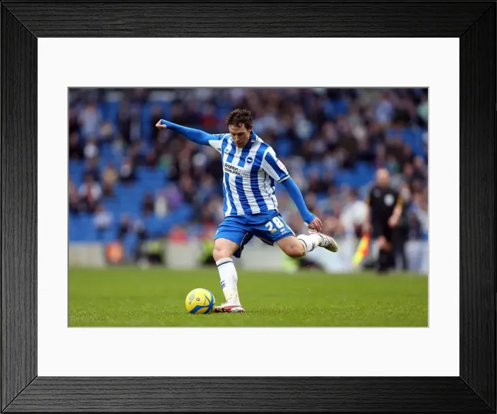 Framed Print : Brighton & Hove Albion vs. Newcastle United (05-01-2013): A Glimpse into the 2012-13 Home Season Framed Print : Brighton & Hove Albion vs. Newcastle United (05-01-2013): A Glimpse into the 2012-13 Home Season