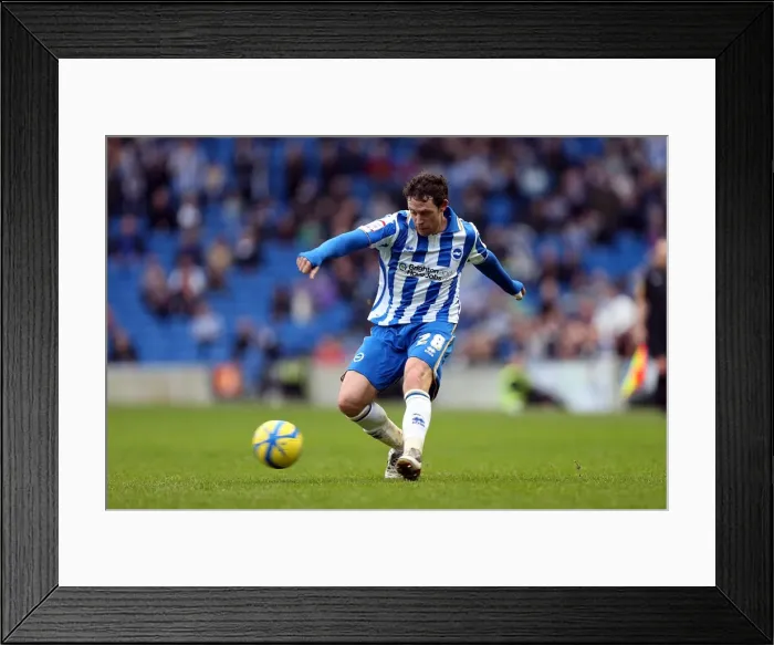 Framed Print : Brighton & Hove Albion vs. Newcastle United (05-01-2013): A Peek into the 2012-13 Home Season