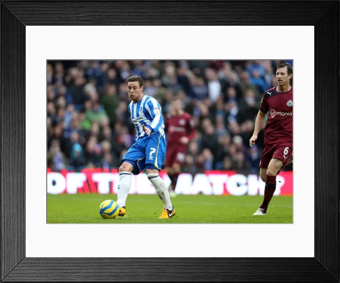 Framed Print : Brighton & Hove Albion vs. Newcastle United (05-01-2013): A Glimpse into the 2012-13 Home Season