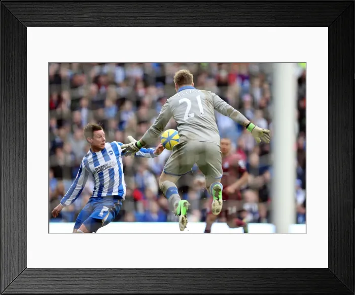 Framed Print : Brighton & Hove Albion vs. Newcastle United (05-01-2013) - A Glimpse into the 2012-13 Home Season Framed Print : Brighton & Hove Albion vs. Newcastle United (05-01-2013) - A Glimpse into the 2012-13 Home Season