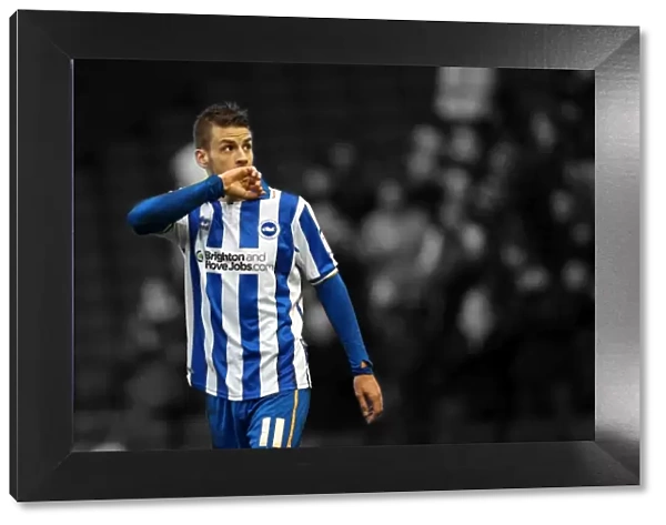 Andrea Orlandi's Double Strike: Brighton Leads Derby County 2-0 in the Npower Championship (January 12, 2013)