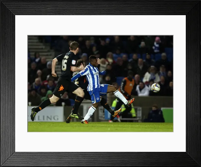 Framed Print : Kazenga LuaLua: Action-Packed Performance in Brighton & Hove Albion vs Derby County, Npower Championship, Amex Stadium (January 12, 2013) Framed Print : Kazenga LuaLua: Action-Packed Performance in Brighton & Hove Albion vs Derby County, Npower Championship, Amex Stadium (January 12, 2013)