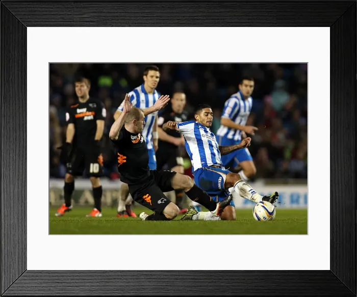 Framed Print : Intense Championship Clash: Liam Bridcutt's Tackle Against Derby County (Brighton & Hove Albion vs Derby County, January 12, 2013) Framed Print : Intense Championship Clash: Liam Bridcutt's Tackle Against Derby County (Brighton & Hove Albion vs Derby County, January 12, 2013)