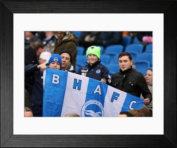 Framed Print : Brighton and Hove Albion: The Electric Amex Stadium Crowd (2012-2013) Framed Print : Brighton and Hove Albion: The Electric Amex Stadium Crowd (2012-2013)