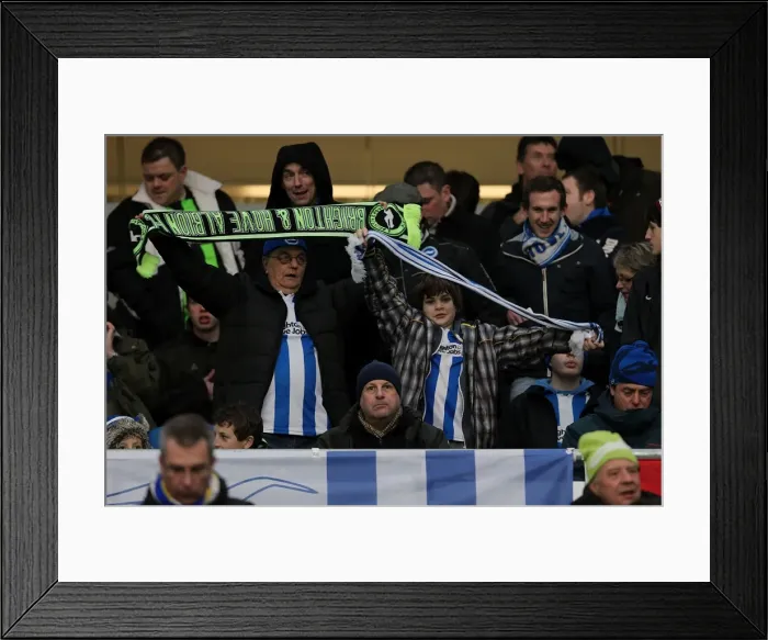 Framed Print : Brighton & Hove Albion: The Electric Amex Stadium Crowd (2012-2013) Framed Print : Brighton & Hove Albion: The Electric Amex Stadium Crowd (2012-2013)