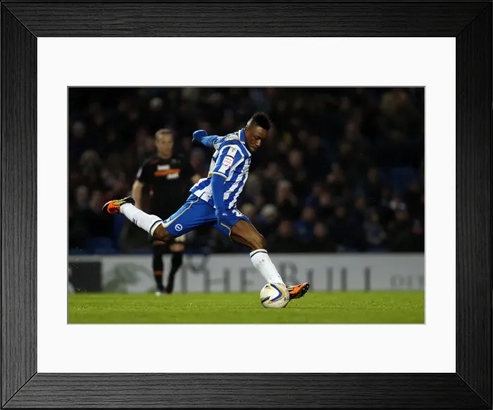 Framed Print : A Memorable Home Victory: Brighton & Hove Albion vs. Derby County (2012-13 Season) Framed Print : A Memorable Home Victory: Brighton & Hove Albion vs. Derby County (2012-13 Season)
