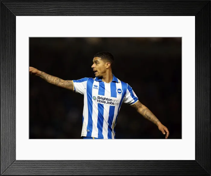 Framed Print : A Memorable Battle: Brighton & Hove Albion vs. Derby County (2012-13 Season) - The Epic Home Encounter Framed Print : A Memorable Battle: Brighton & Hove Albion vs. Derby County (2012-13 Season) - The Epic Home Encounter