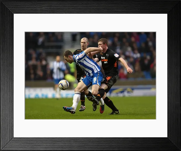 Framed Print : Intense Battle for Possession: Ashley Barnes vs Derby County (Brighton & Hove Albion vs Derby County, January 12, 2013) Framed Print : Intense Battle for Possession: Ashley Barnes vs Derby County (Brighton & Hove Albion vs Derby County, January 12, 2013)