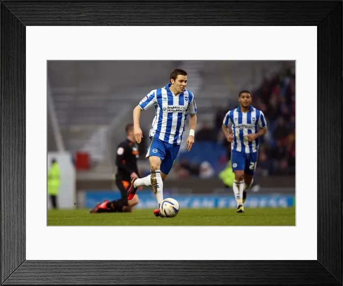 Framed Print : Dean Hammond: In Action for Brighton & Hove Albion Against Derby County, Npower Championship (January 12, 2013) Framed Print : Dean Hammond: In Action for Brighton & Hove Albion Against Derby County, Npower Championship (January 12, 2013)