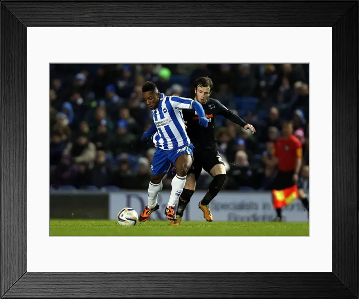 Framed Print : Kazenga LuaLua: In Action for Brighton & Hove Albion Against Derby County, Npower Championship, Amex Stadium (January 12, 2013) Framed Print : Kazenga LuaLua: In Action for Brighton & Hove Albion Against Derby County, Npower Championship, Amex Stadium (January 12, 2013)