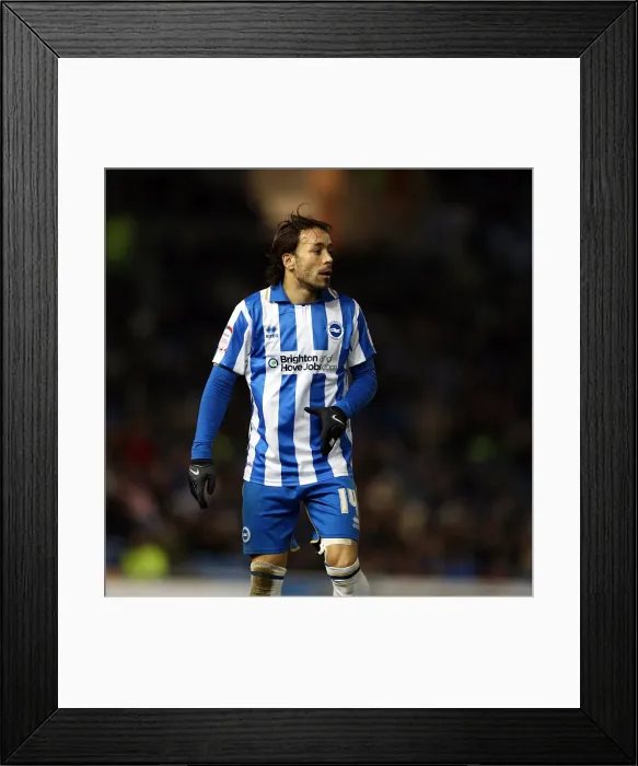 Framed Print : Intense Focus: Inigo Calderon of Brighton & Hove Albion during Npower Championship Match vs Derby County, January 12, 2013 Framed Print : Intense Focus: Inigo Calderon of Brighton & Hove Albion during Npower Championship Match vs Derby County, January 12, 2013