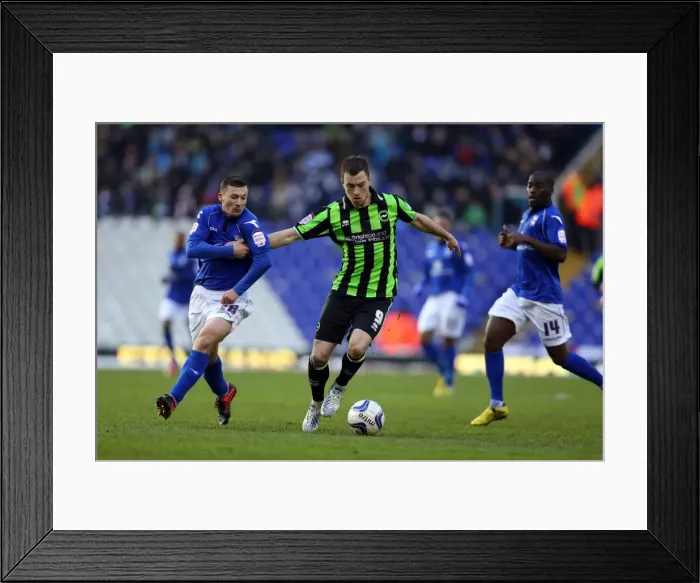 Framed Print : Ashley Barnes Scores for Brighton & Hove Albion Against Birmingham City, Npower Championship, January 19, 2013 Framed Print : Ashley Barnes Scores for Brighton & Hove Albion Against Birmingham City, Npower Championship, January 19, 2013