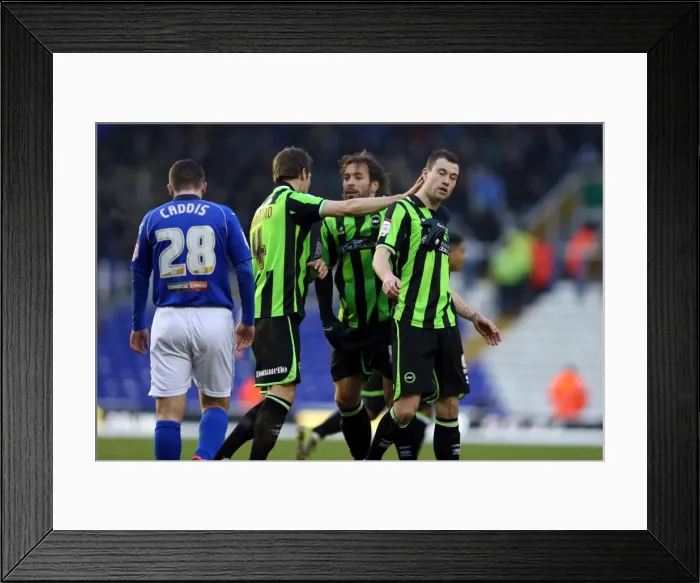 Framed Print : Ashley Barnes Scores Equalizer for Brighton & Hove Albion Against Blackburn in Birmingham Championship Clash (12-12-2012) Framed Print : Ashley Barnes Scores Equalizer for Brighton & Hove Albion Against Blackburn in Birmingham Championship Clash (12-12-2012)