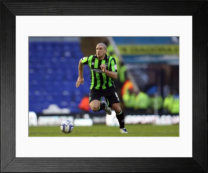 Framed Print : Brighton & Hove Albion vs. Birmingham City (Away), 19-01-2013 Framed Print : Brighton & Hove Albion vs. Birmingham City (Away), 19-01-2013