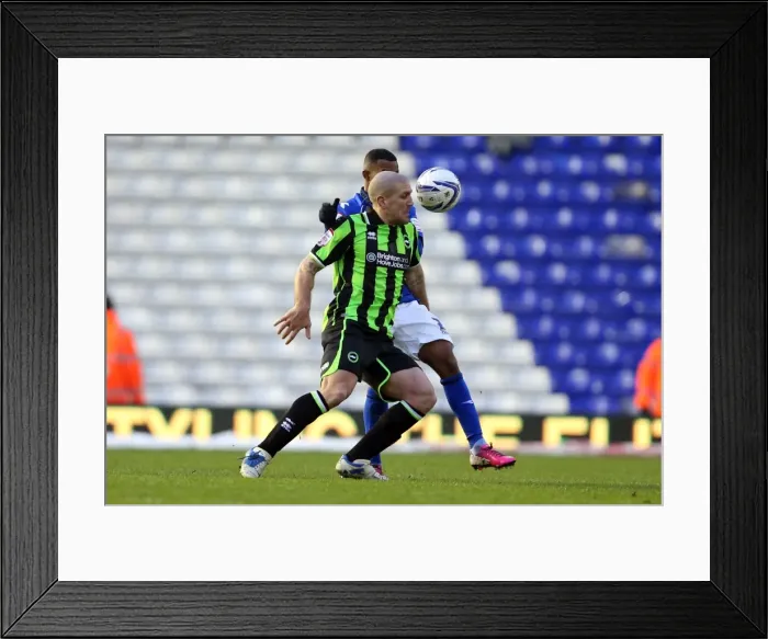 Framed Print : Brighton & Hove Albion vs Birmingham City (Away Game - 19-01-2013) Framed Print : Brighton & Hove Albion vs Birmingham City (Away Game - 19-01-2013)