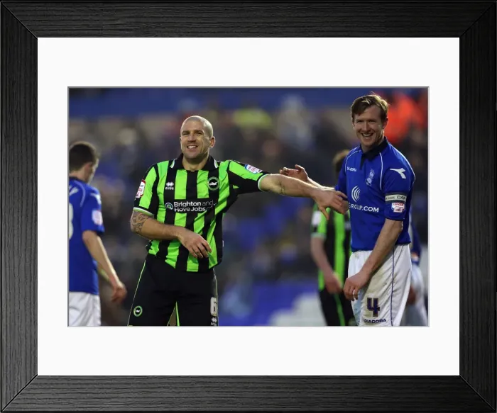 Framed Print : Brighton & Hove Albion vs Birmingham City: 2012-13 Away Game Framed Print : Brighton & Hove Albion vs Birmingham City: 2012-13 Away Game