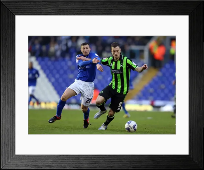 Framed Print : Brighton & Hove Albion vs Birmingham City: A Glance at the 2012-13 Season Away Game Framed Print : Brighton & Hove Albion vs Birmingham City: A Glance at the 2012-13 Season Away Game