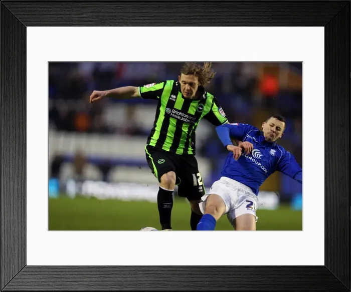 Framed Print : Brighton & Hove Albion vs. Birmingham City (Away): A Look Back at the Exciting 2012-13 Season Encounter Framed Print : Brighton & Hove Albion vs. Birmingham City (Away): A Look Back at the Exciting 2012-13 Season Encounter