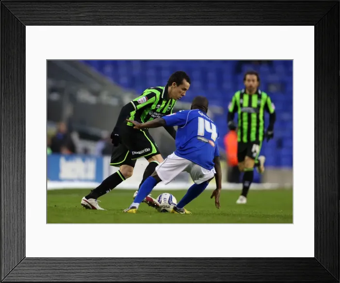 Framed Print : Brighton & Hove Albion vs Birmingham City: 2013 Away Game (Season 2012-13) Framed Print : Brighton & Hove Albion vs Birmingham City: 2013 Away Game (Season 2012-13)