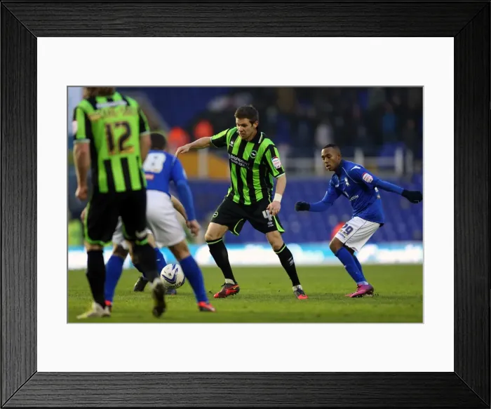 Framed Print : Brighton & Hove Albion vs. Birmingham City: 2012-13 Season Away Game Highlights Framed Print : Brighton & Hove Albion vs. Birmingham City: 2012-13 Season Away Game Highlights