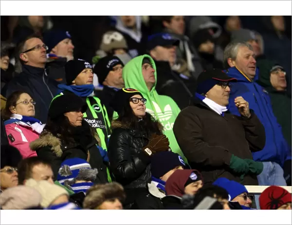 Brighton & Hove Albion vs. Birmingham City: A Glance at the 2012-13 Away Game (19-01-2013)
