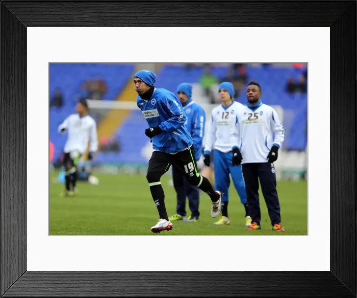 Framed Print : Brighton & Hove Albion vs. Birmingham City: A Retrospective of the 2012-13 Away Game Framed Print : Brighton & Hove Albion vs. Birmingham City: A Retrospective of the 2012-13 Away Game