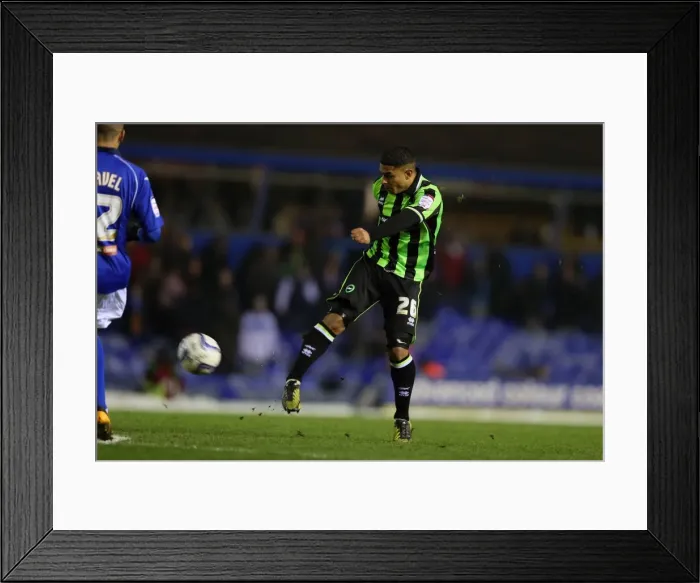 Framed Print : Brighton & Hove Albion vs. Birmingham City (Away) - A Look Back at the 2012-13 Season's Clash