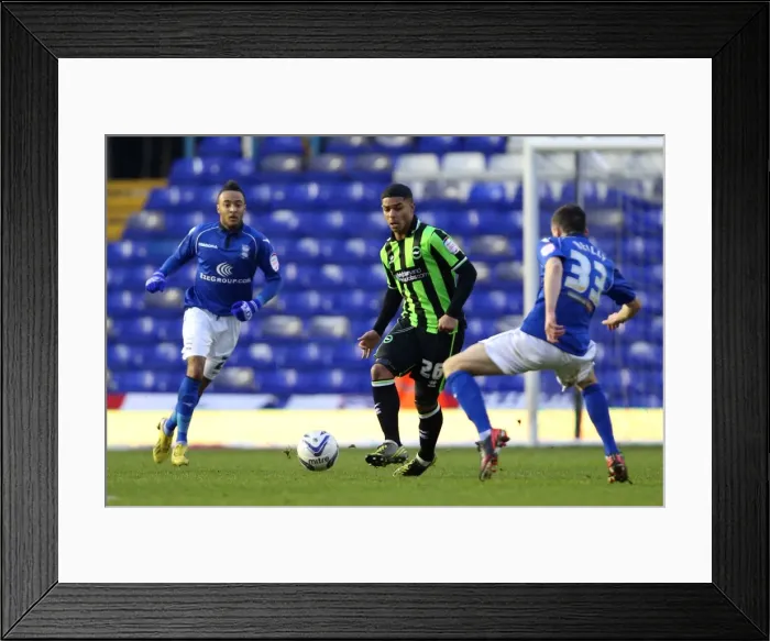 Framed Print : Brighton & Hove Albion vs. Birmingham City (Away Game - 19-01-2013, Season 2012-13) Framed Print : Brighton & Hove Albion vs. Birmingham City (Away Game - 19-01-2013, Season 2012-13)