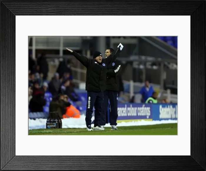 Framed Print : Brighton & Hove Albion vs. Birmingham City (Away) - A Look Back at the 2012-13 Season's Game Framed Print : Brighton & Hove Albion vs. Birmingham City (Away) - A Look Back at the 2012-13 Season's Game