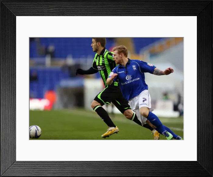 Framed Print : Andrea Orlandi of Brighton & Hove Albion in Action Against Blackburn during Birmingham City Clash, Npower Championship, January 19, 2013 Framed Print : Andrea Orlandi of Brighton & Hove Albion in Action Against Blackburn during Birmingham City Clash, Npower Championship, January 19, 2013