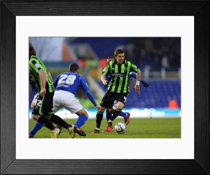 Framed Print : Dean Hammond in Action: Brighton & Hove Albion vs. Blackburn Rovers, Championship Clash at Birmingham City (January 19, 2013) Framed Print : Dean Hammond in Action: Brighton & Hove Albion vs. Blackburn Rovers, Championship Clash at Birmingham City (January 19, 2013)
