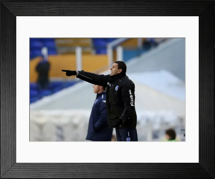 Framed Print : Gus Poyet: Brighton & Hove Albion Manager Leads Team Against Birmingham City, Npower Championship (January 2013) Framed Print : Gus Poyet: Brighton & Hove Albion Manager Leads Team Against Birmingham City, Npower Championship (January 2013)