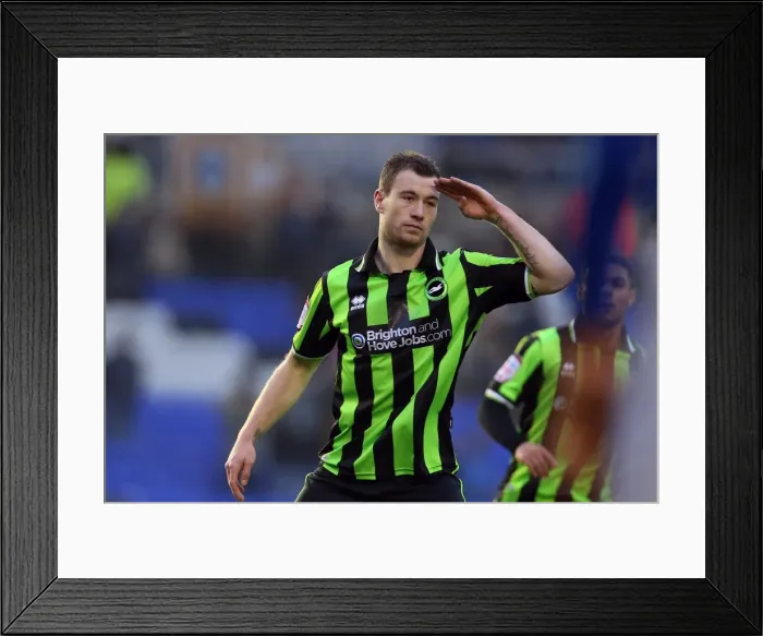 Framed Print : Ashley Barnes Scores Equalizing Goal for Brighton & Hove Albion Against Birmingham City in Npower Championship, January 19, 2013 Framed Print : Ashley Barnes Scores Equalizing Goal for Brighton & Hove Albion Against Birmingham City in Npower Championship, January 19, 2013