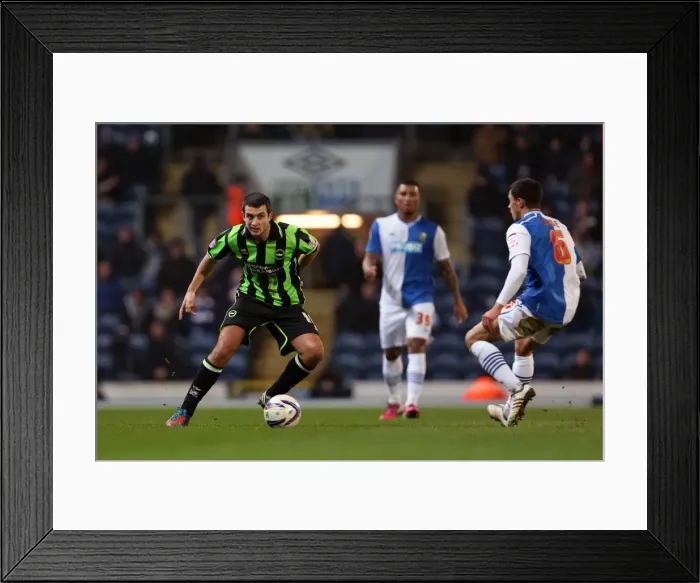 Framed Print : Gary Dicker in Action: Brighton & Hove Albion vs Blackburn Rovers, Npower Championship, January 22, 2013 Framed Print : Gary Dicker in Action: Brighton & Hove Albion vs Blackburn Rovers, Npower Championship, January 22, 2013