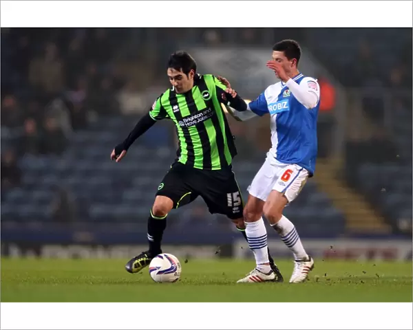 Vicente in Action: Brighton & Hove Albion vs. Blackburn Rovers, Npower Championship, January 22, 2013