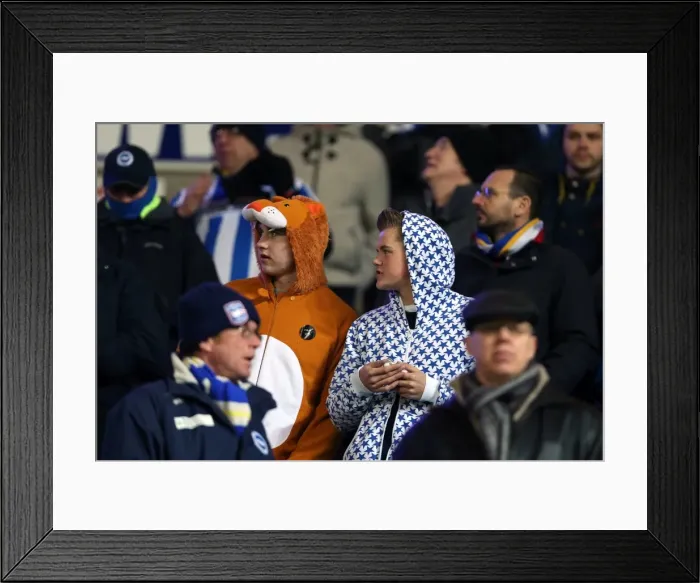 Framed Print : A Glance Back: Thrilling 2012-13 Encounter - Brighton & Hove Albion vs. Blackburn Rovers (Away) Framed Print : A Glance Back: Thrilling 2012-13 Encounter - Brighton & Hove Albion vs. Blackburn Rovers (Away)