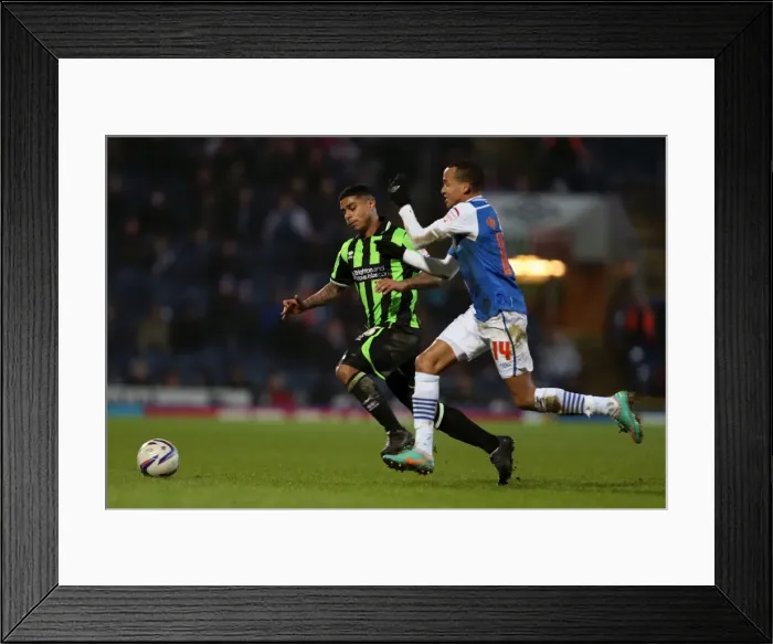 Framed Print : Thrilling Encounter: Brighton & Hove Albion vs. Blackburn Rovers (Away) - 2012-13 Season Framed Print : Thrilling Encounter: Brighton & Hove Albion vs. Blackburn Rovers (Away) - 2012-13 Season
