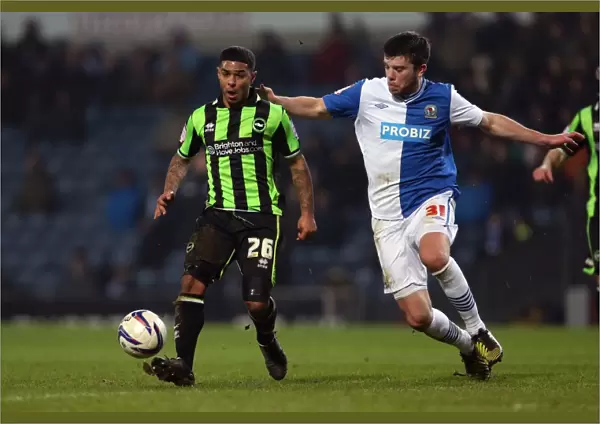 Battle of the Championship: Brighton & Hove Albion vs. Blackburn Rovers (Away) - 2012-13 Season