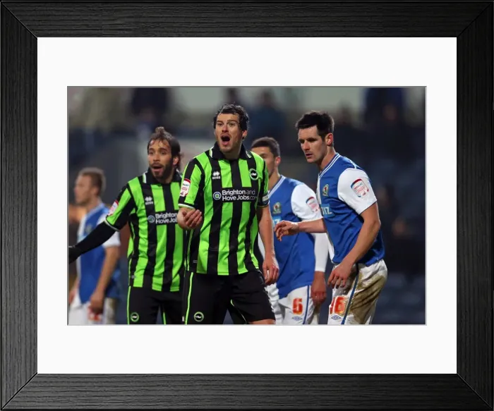 Framed Print : Gordon Greer of Brighton & Hove Albion in Action Against Blackburn Rovers, Npower Championship, January 22, 2013 Framed Print : Gordon Greer of Brighton & Hove Albion in Action Against Blackburn Rovers, Npower Championship, January 22, 2013