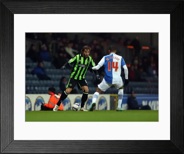 Framed Print : Brighton's Inigo Calderon in Action against Blackburn Rovers, Npower Championship, January 22, 2013 Framed Print : Brighton's Inigo Calderon in Action against Blackburn Rovers, Npower Championship, January 22, 2013