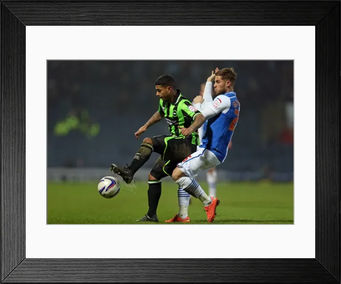 Framed Print : Brighton's Bridcutt in Action: Blackburn vs. Brighton, Npower Championship (22-01-2013) Framed Print : Brighton's Bridcutt in Action: Blackburn vs. Brighton, Npower Championship (22-01-2013)