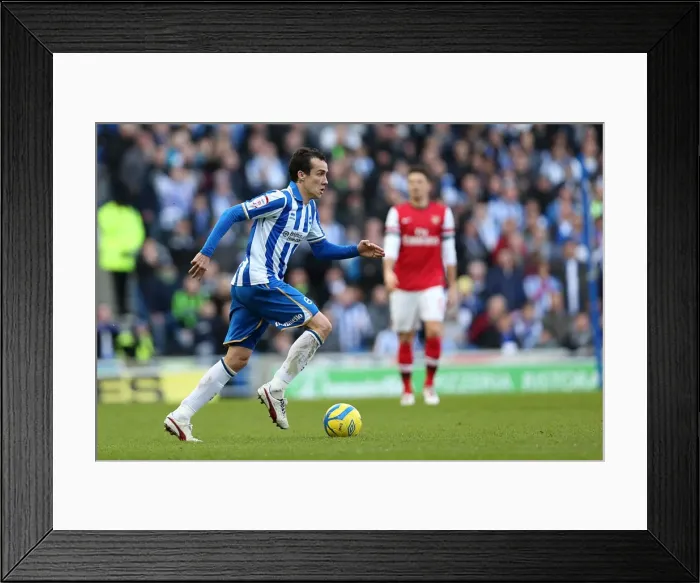 Framed Print : Brighton & Hove Albion vs Arsenal (2013) - A Home Game from the 2012-13 Premier League Season Framed Print : Brighton & Hove Albion vs Arsenal (2013) - A Home Game from the 2012-13 Premier League Season