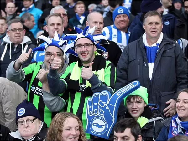 Brighton & Hove Albion: The Electric Amex Stadium Crowd (2012-2013)