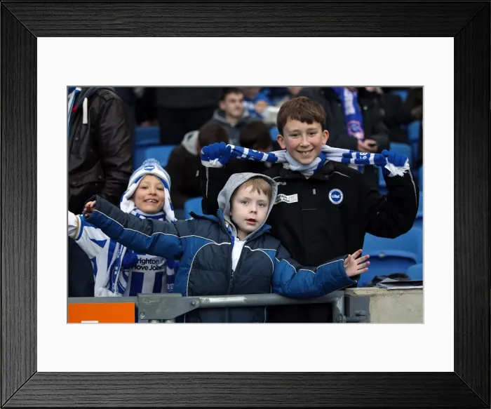 Framed Print : Brighton And Hove Albion Crowd Shots: Crowd Shots at the Amex 2012-13 Framed Print : Brighton And Hove Albion Crowd Shots: Crowd Shots at the Amex 2012-13
