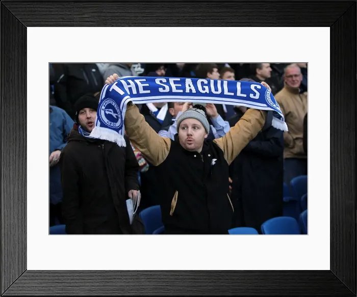 Framed Print : Brighton & Hove Albion: Thrilling Crowd Moments at The Amex (2012-2013) Framed Print : Brighton & Hove Albion: Thrilling Crowd Moments at The Amex (2012-2013)