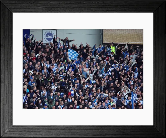Framed Print : Brighton & Hove Albion vs. Arsenal (2012-13 Season): A Home Game Recap Framed Print : Brighton & Hove Albion vs. Arsenal (2012-13 Season): A Home Game Recap