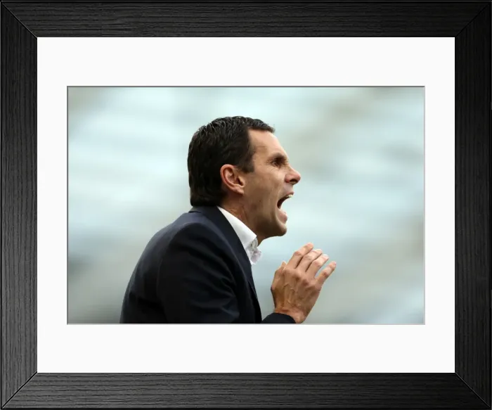 Framed Print : Gus Poyet's Passionate Moment: Brighton & Hove Albion vs Arsenal, FA Cup 2013 Framed Print : Gus Poyet's Passionate Moment: Brighton & Hove Albion vs Arsenal, FA Cup 2013
