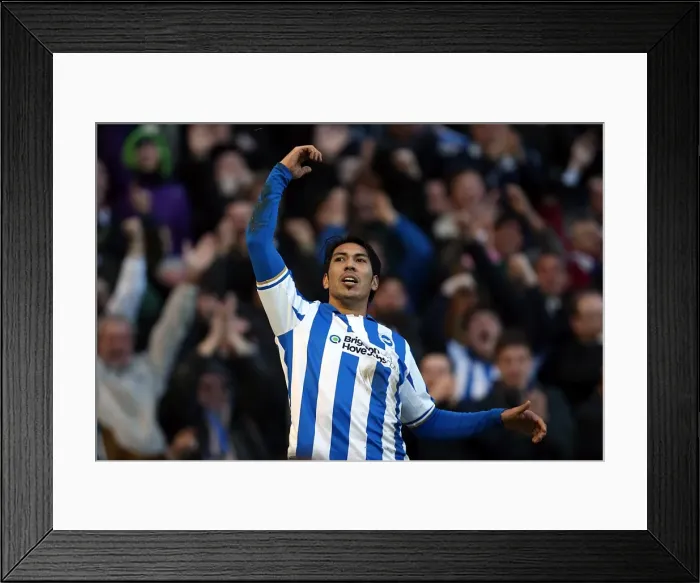 Framed Print : Leonardo Ulloa Scores Stunner on FA Cup Debut for Brighton & Hove Albion Against Arsenal (January 26, 2013) Framed Print : Leonardo Ulloa Scores Stunner on FA Cup Debut for Brighton & Hove Albion Against Arsenal (January 26, 2013)